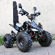 Buggy Eletrico 48V 1000W Quad for Adults Middle Size with Shaft Drive manufacturer