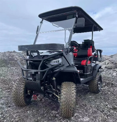 ATV & Quad Golf Cart off-Road Cart High Quality CE DOT Beach Buggy