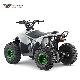 Racing ATV off Road Buggy 4 Stroke