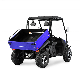 Mini ATV300cc ATV312 Best Buggy 4X4 Cheap 200cc Chenille China 150cc Diferencial Drive Shaft Exhaust Frame Gear Hybrid Kids ATV manufacturer