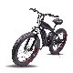  Factory Direct Electric Bike with Big Wheel 36V 500W Motor