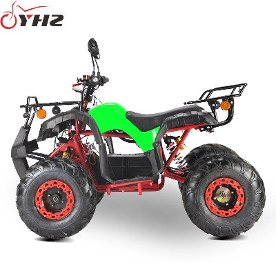 EEC Coc Approved Electric ATV off Road Dune Buggy 2000W 60V Motor