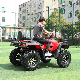 Bike for Body 150cc Price Tyre Frame Plastic Clothes Coolster Crane Crawler CV Axle Digger Disc Brake Elektrikli Engine EV ATV