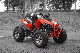 off Road High Configuration Beach ATV Quad with Shockproof Frame