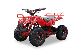 Children′s Electric ATV Little Bull ATV 500W 1000W Quad off-Road Vehicle Toy Car for Children manufacturer