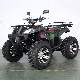  Multi-Color Optional Electric 4X4 ATV Adult ATV 3000W 72V for Sale