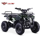 50cc 2 Stroke Gas Powered Four Wheeler Mini ATV for Kids