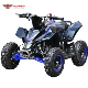 Mini Kids 49cc Gas Quad Bikes ATV 4 Wheeler manufacturer