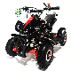  Sro Factory 4 Wheeler off Road Mini Quad ATV for Sale
