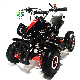 Sro Factory 4 Wheeler off Road Mini Quad ATV for Sale