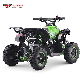 49cc Gasoline Great Quality Kids Mini Four Wheels Quad Bikes ATV manufacturer