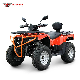 300cc Gasoline Powered Adult Quad Bike 4 Wheelers ATV manufacturer