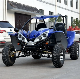 Quad ATV UTV 4X4 300cc Go Kart Dune Buggy for News