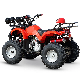  200cc 250cc 300cc Mountain ATV Quad