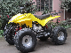 Chinese Gasoline Quad Bike Motorcycle ATV 125cc Mini Buggy ATV011 manufacturer