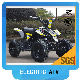  New 4 Wheel off Road 500W Electric ATV