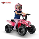 New Toy Ride on Electric ATV for Kids Bike Quad 250W 24V manufacturer