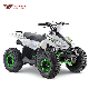  70cc 90cc 110cc 125cc Sport Quad ATV for Kids