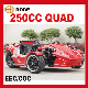 EEC 250cc Reverse Trike ATV (MC-369)