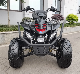  150cc Quad ATV Bikes CF Moto C-Force EPS ATV Quad