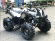  4 Stroke Farm Utility Gas 250cc 4X2 ATV 250cc Motorcycle