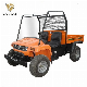  Four Wheeler off Road Electric Utility Vehicle UTV