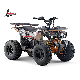  2020 New Published Electric ATV Quad China Supplier