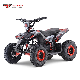 1000W Electric Atvs Kids Mini Quad ATV Bike for Sale manufacturer