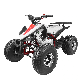 Hot Sales Chain Drive 110cc ATV Quad