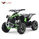 1000W 36V 48V Chain Drive Electric ATV Quad Bike Four Wheeler Basic Customization manufacturer