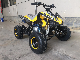 110cc Kids Quad ATV Bikes for Sale