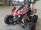 Well Selling New Type CE Wholesale Good Price Mini Kids Gas 110cc 125cc 4 Wheel Cool ATV Quad Bike