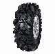  Recreational Linhai ATV Parts Paddle Tire 28X9.5-12 28X11-14 6 Pr 12 Inch 14 Inch