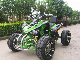 250cc Sport ATV Racing Quad, Kawasaki Style 250cc Racing ATV manufacturer