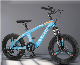 Best Selling 20 Inch Mountain Bike/Magnesium Alloy Frame manufacturer