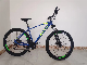 Hot Selling 29 Inch 24 Speed Mountain Bicycle/Aluminum Alloy Frame/Adult Mountain Bike manufacturer