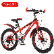 High Carbon Steel Mountain Bike 20 Inch Mountain Bicycle manufacturer