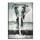 Popular Wall Decor Art Modern Elephant Canvas Prints Hand Made Animal Oil Painting