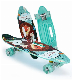 Cruise Plastic Skateboard with Customized Design and Colors. manufacturer