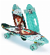 Cruise Plastic Skateboard with Customized Design and Colors.