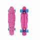 Crusier Plastic Skateboard with 22 Inch Size and PU Wheel manufacturer