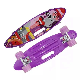 Cheap 23 Inch Mini Plastic Cruiser Skateboard for Kids