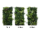 Decorative 50*100 Cm Plastic Eco-Friendly DIY Artificial Plant Wall for Indoor Banquet Decoration