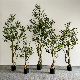 90cm Chinese Making Artificial Bonsai Tree Artificial Olive Tree for Sale