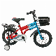 Wholesale of Boys and Girls′ Bicycles in Various Sizes and Colors manufacturer