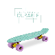 Mini 22 Inch Full Blank Fish Board Cruiser Skateboard