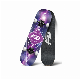  Popular Beginner Skateboard with Color Flash Wheel