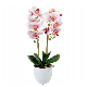  Hot Sale Multi-Color Indoor Outdoor Artificial Potting Flower with Pot