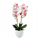 Hot Sale Multi-Color Indoor Outdoor Artificial Potting Flower with Pot