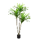  Artificial Tropical Yucana Tree with Rubber Leaves and Natural Trunk